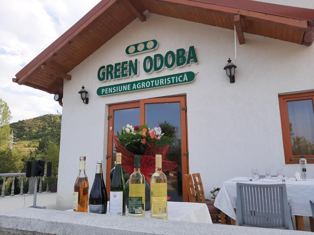 Pensiunea Agroturistica Green Odoba Satuc Exterior photo